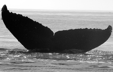 CS587. Photo credit: Jim Darling, 2012.